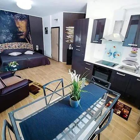 Studio Cataleya Năvodari